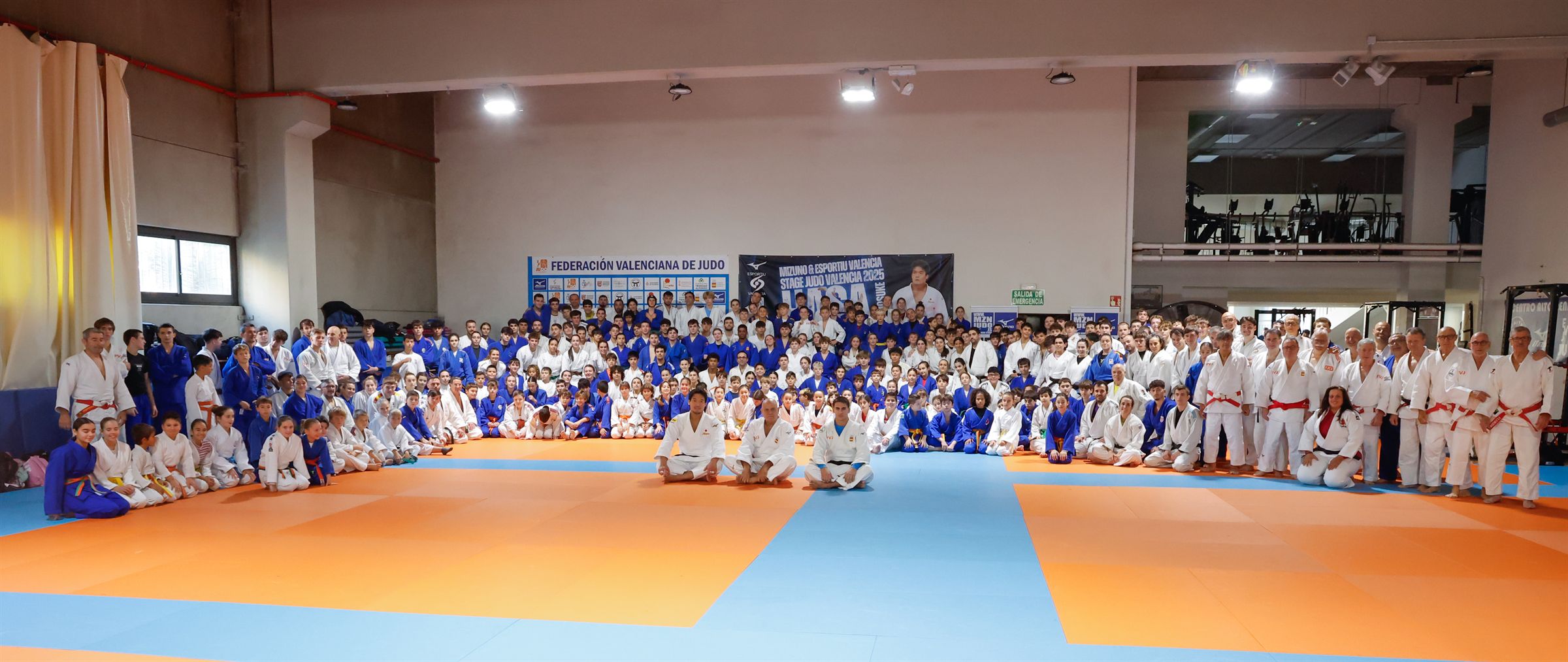 Foto de grupo de la primera edición del Stage Judo València con cientos de judokas en el tatami